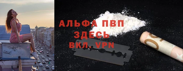 сатива Белоозёрский