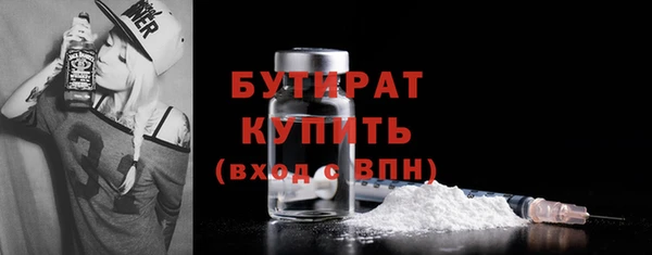 сатива Гатчина