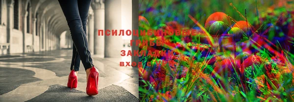 МДМА Белокуриха