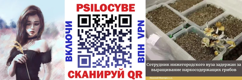 Купить где  Алексеевка  Галлюциногенные грибы Magic Shrooms 